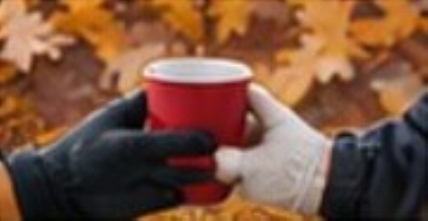 Fall/Holiday